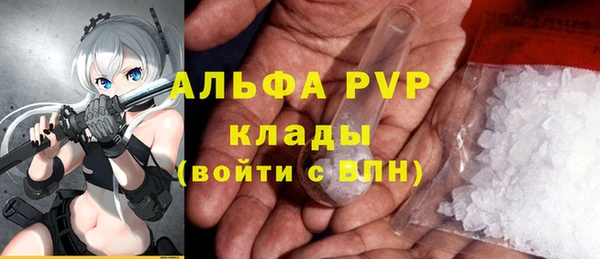 a pvp Каменногорск