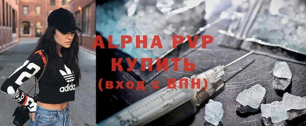 a pvp Каменногорск