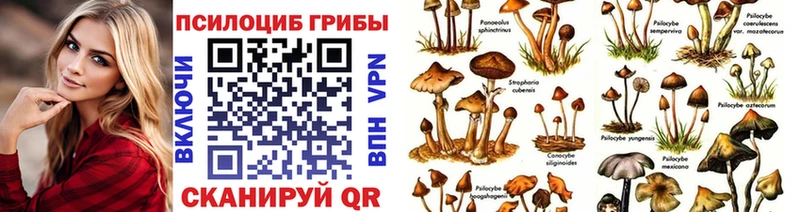 Псилоцибиновые грибы прущие грибы  Купить где  Дальнереченск 